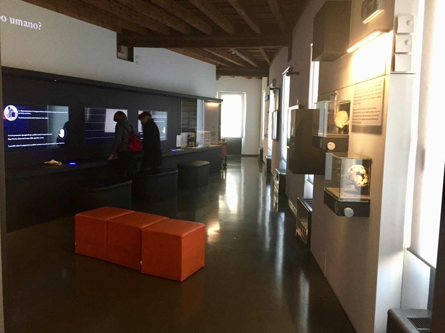 Sala D (3).jpg